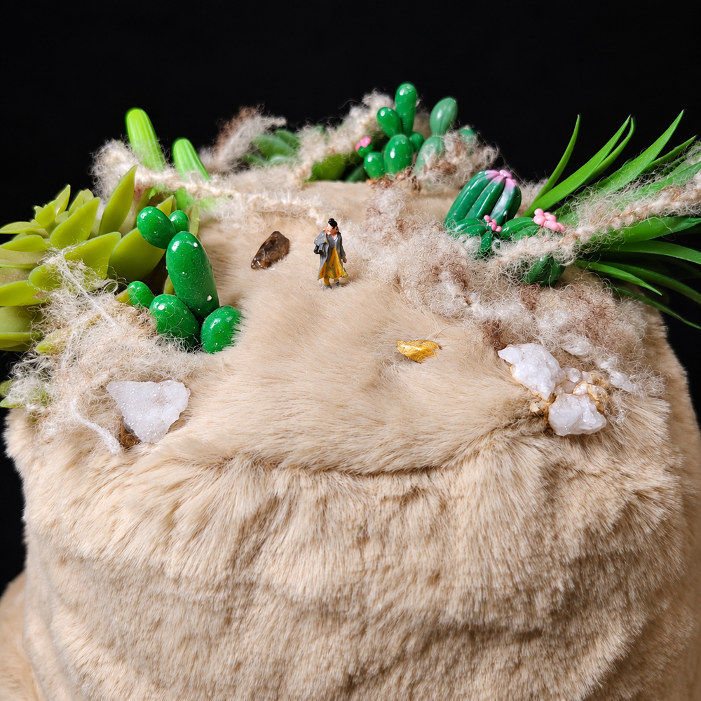 Overhead view of cacti and stone accents
