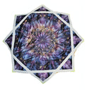 Flowstar: Purple Plur