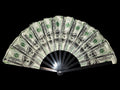 Cash Cow Plastic Fan 13"